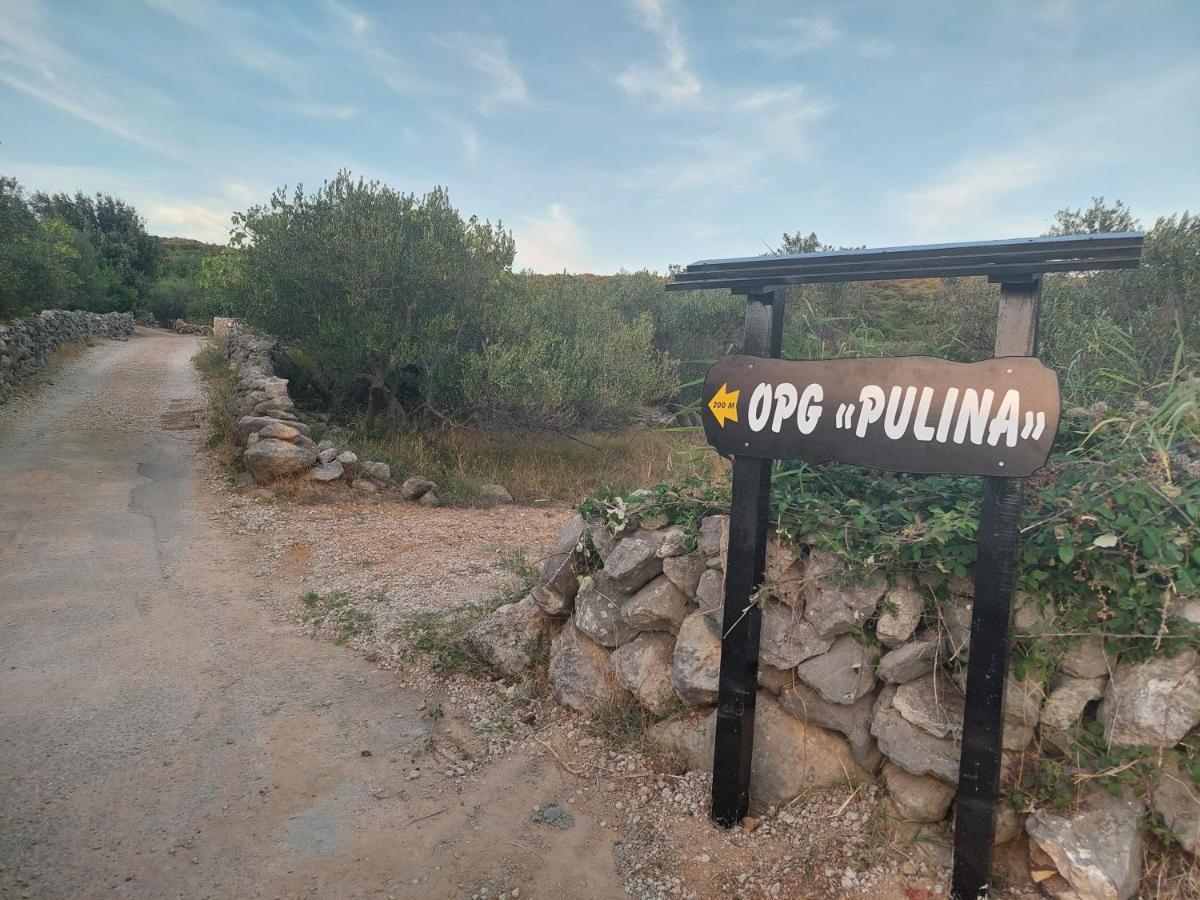 פונאנט Holiday House Pulina מראה חיצוני תמונה