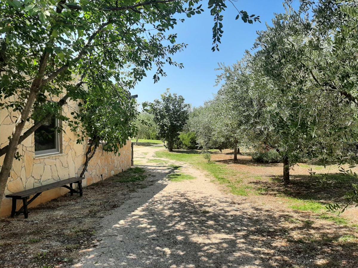 פונאנט Holiday House Pulina מראה חיצוני תמונה